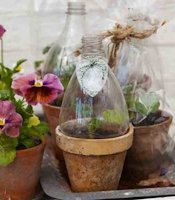 Garden Culture Magazine Plastic Bottle Indoor Greenhouse